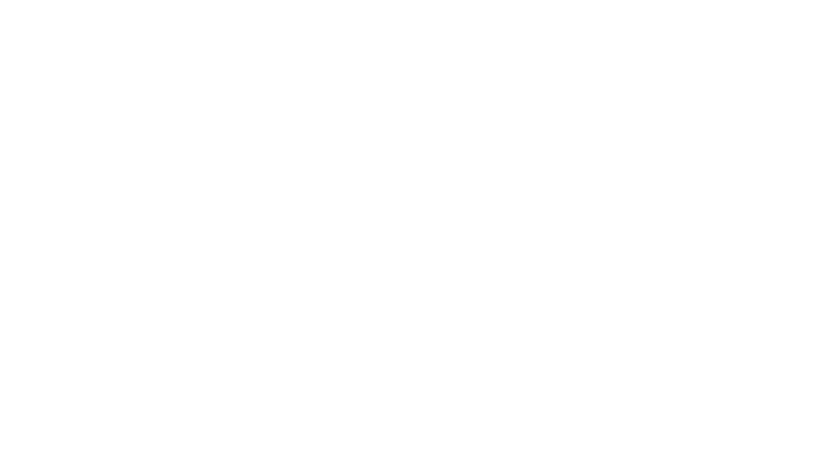 Leveler